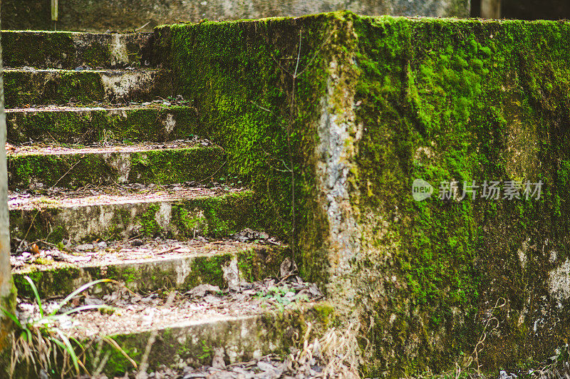 长满青苔的旧混凝土台阶