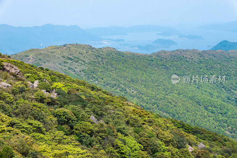 香港大帽山夏日阳光明媚，天空湛蓝