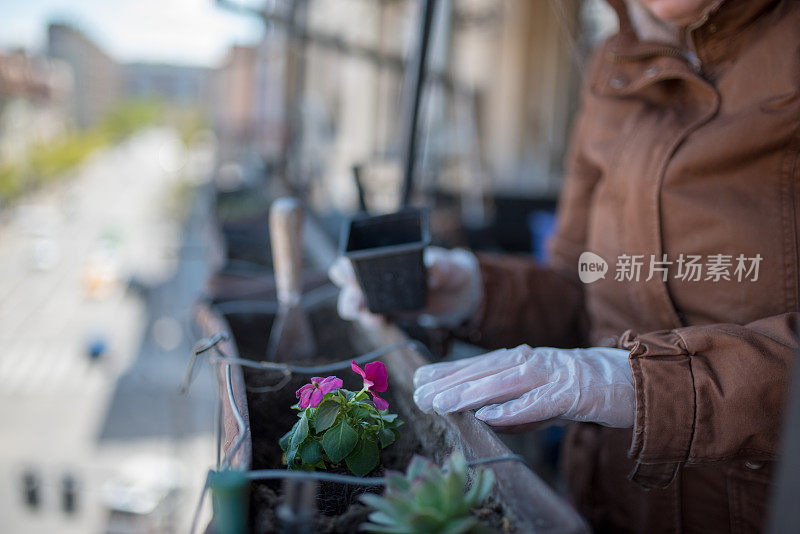 种花