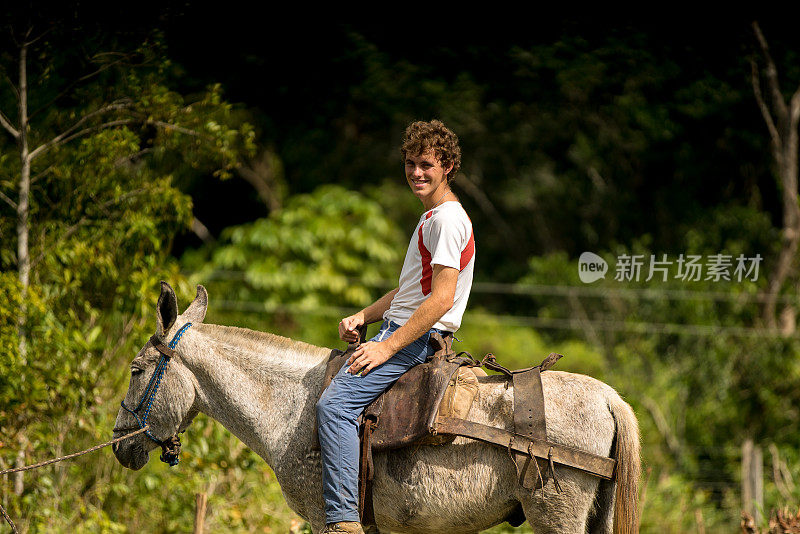 年轻的成年人骑着骡子穿过丛林