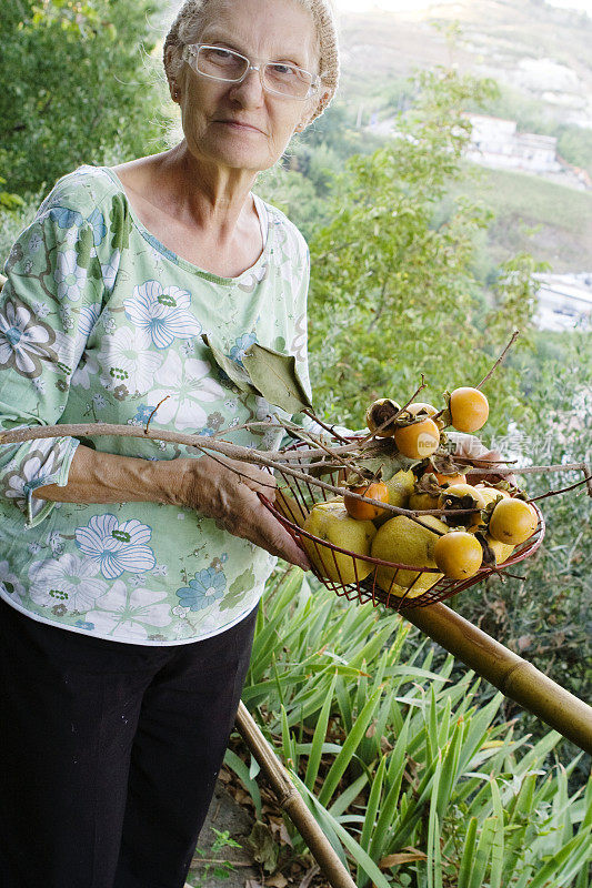 妇女在她的花园里收获水果