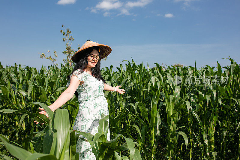 年轻的亚洲孕妇在玉米地里