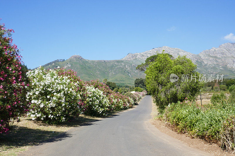 Stellenbosch葡萄酒之乡，南非