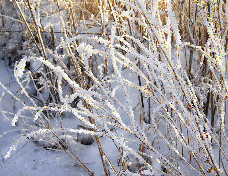 冰天雪地的冬季风景在零度以下的温度霜冻景观