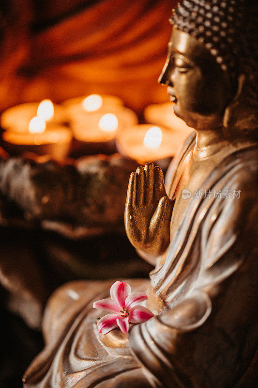 佛像雕像与粉红色的花看在侧面略从上方点燃蜡烛