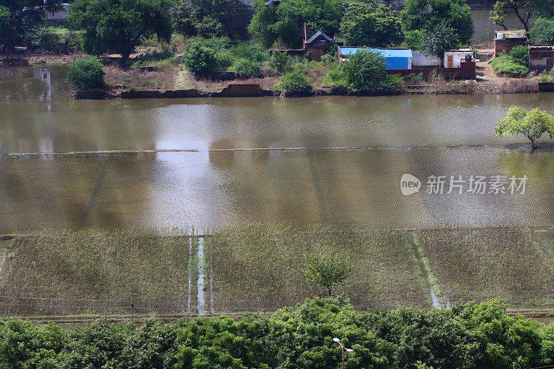 淹水的耕地，淹水的农业建筑，农田被分割成矩形块的农业区，印度季风季节