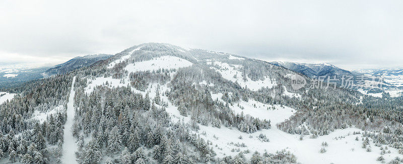 冬天的风景在雾与雪和树枝覆盖着白霜和冰冻的雪。高质量的照片