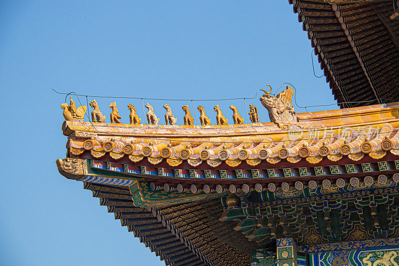 北京紫禁城屋顶