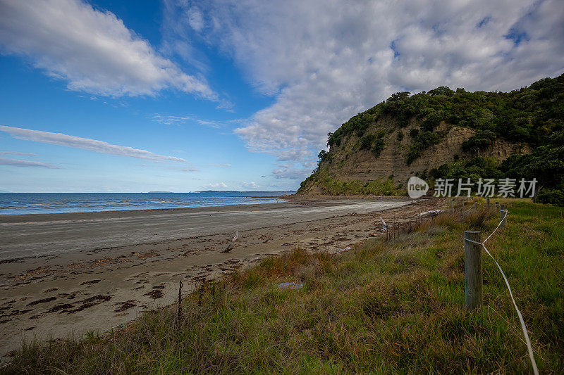 新西兰奥克兰文德霍尔姆地区公园