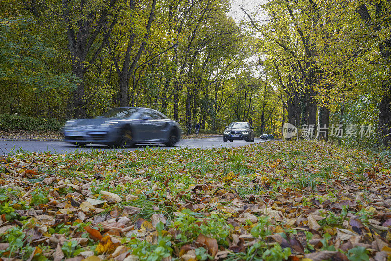 秋天的街道上有树木，多彩的树叶，模糊的汽车和骑自行车的人