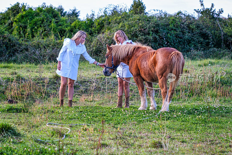 两个女人在田野上抚摸一匹马