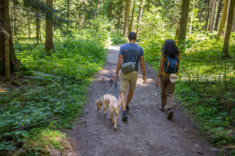 男人和女人带着宠物在森林里度过夏日阳光灿烂的一天