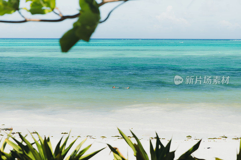 男性在热带岛屿上享受假期，在绿松石海洋中游泳