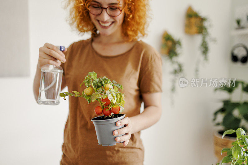 用喷雾照顾和浇灌室内植物的女人