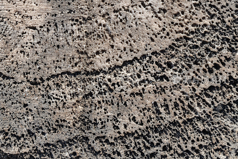 粗糙的石灰石表面的特写。贝壳岩coquina质地。自然背景。