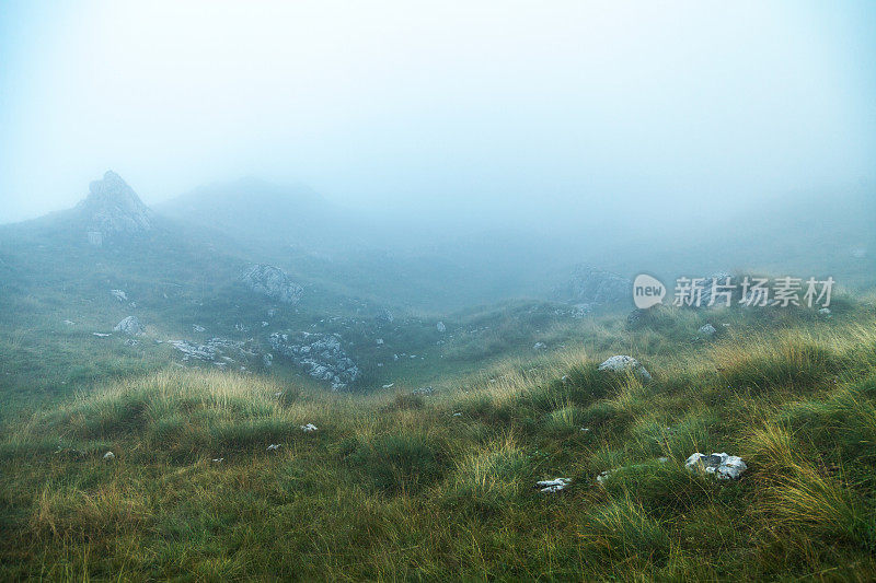 浓密而神秘的雾笼罩着山间的小路