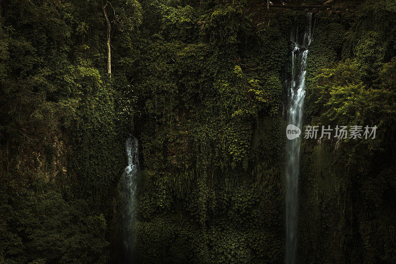 峡谷瀑布Sekumpul瀑布的岩石拱顶覆盖着茂密的树叶植物在印度尼西亚巴厘岛的热带森林