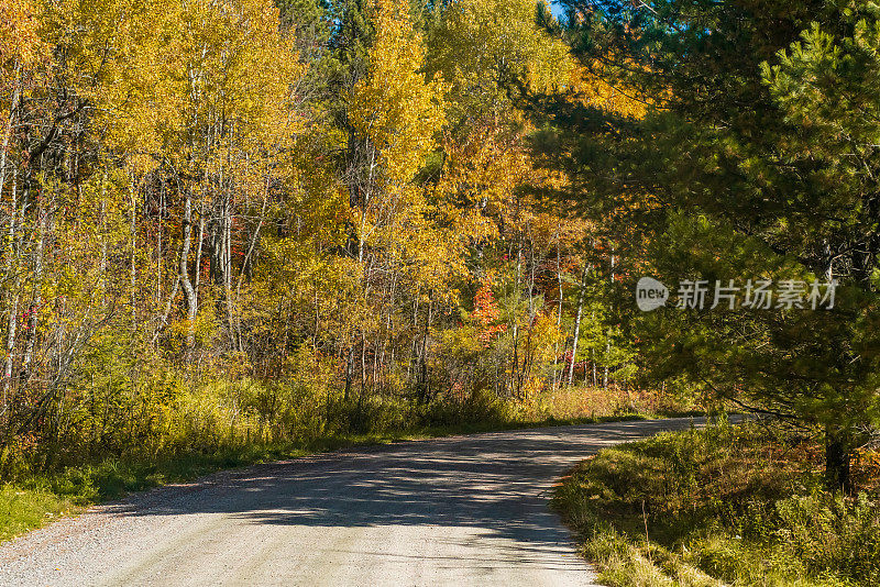 秋景-沙砾土路，彩树蓝天