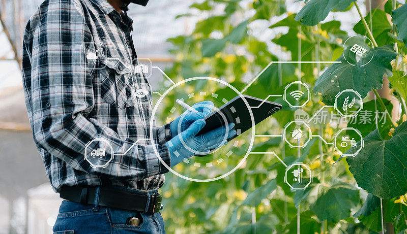 农业技术农妇手持平板或平板技术研究农业问题分析数据和可视化图标。