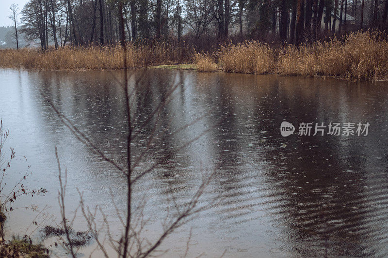 波浪和雨水落在水面上。