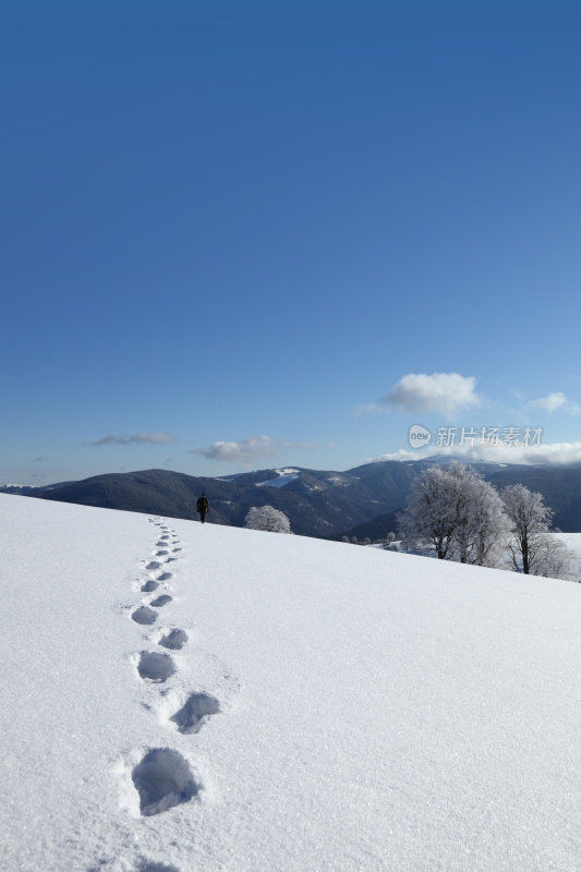 雪地上的脚印