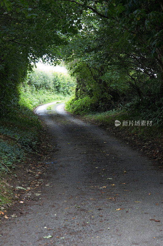 乡村的小路上隧道