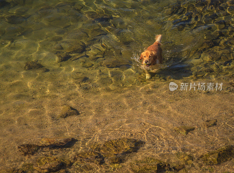 斯阿加罗海滩