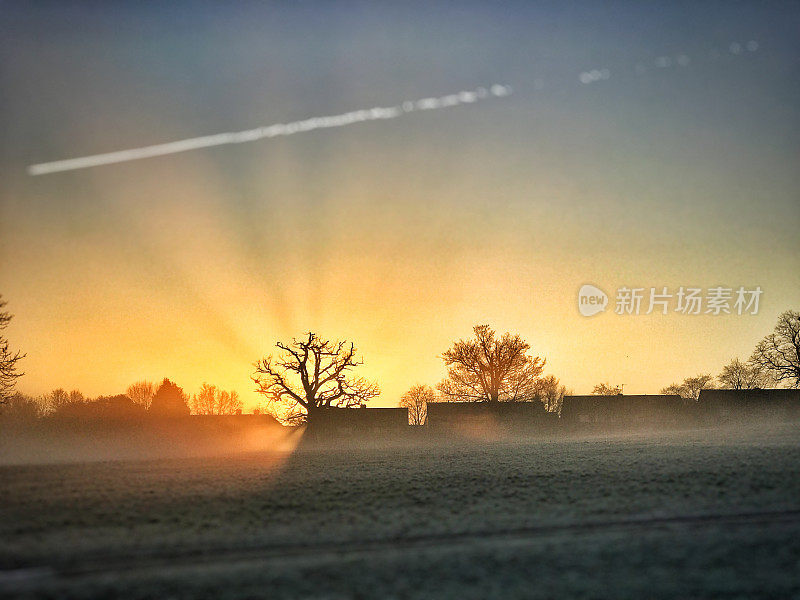 在一个寒冷的冬天的早晨，英国公园里的日出