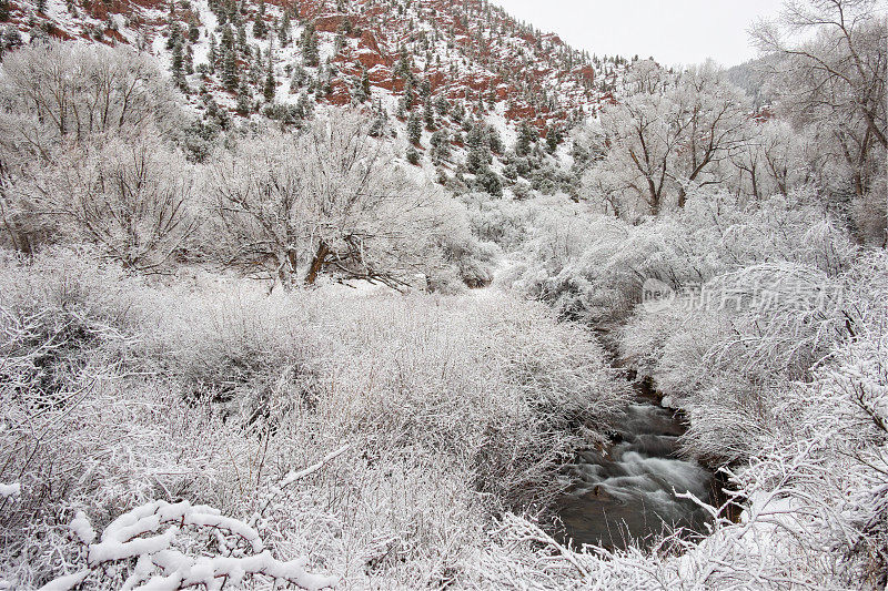 冬天的场景与新鲜的雪沿着小溪在红峡谷