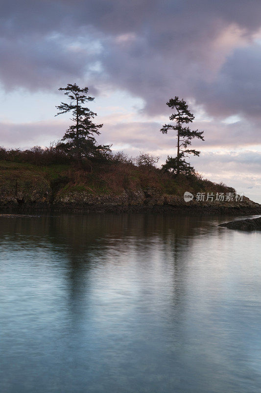 两个同类