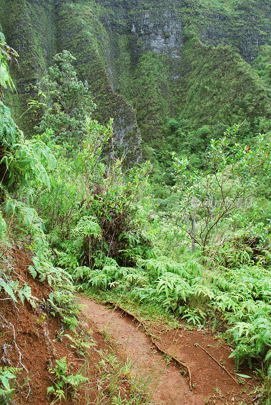 夏威夷库劳山徒步旅行路线