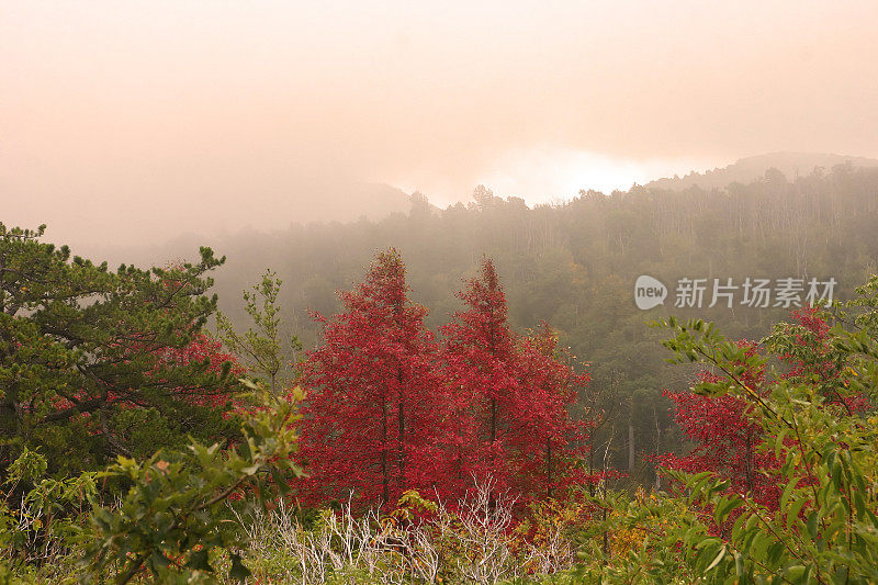 谢南多厄国家公园五彩秋景(美国弗吉尼亚)