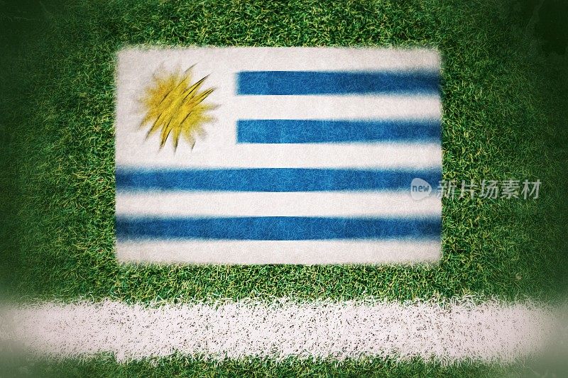 足球场上印着一面乌拉圭国旗