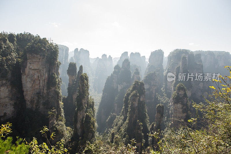 砂岩柱，张家界国家森林公园，中国