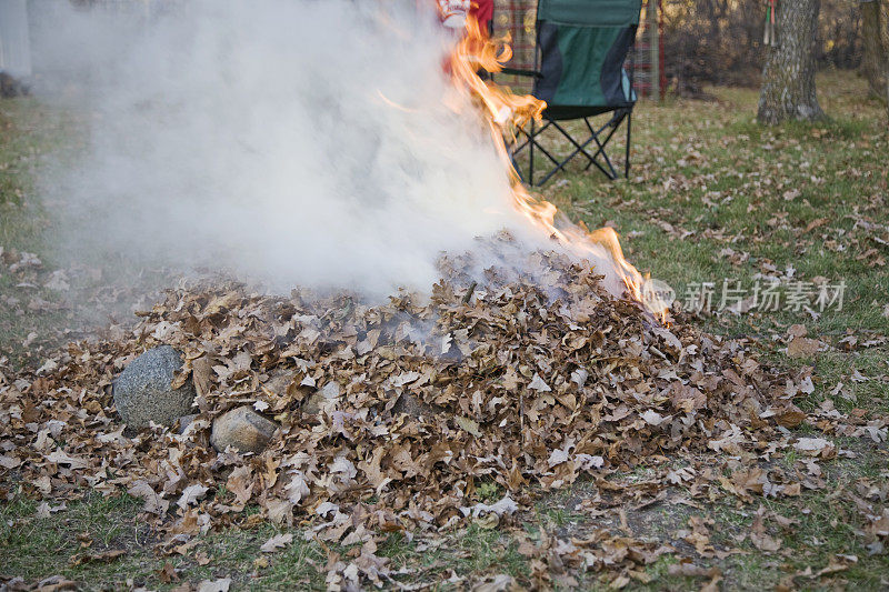 树叶着火了