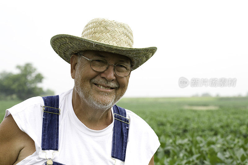 田间的农夫