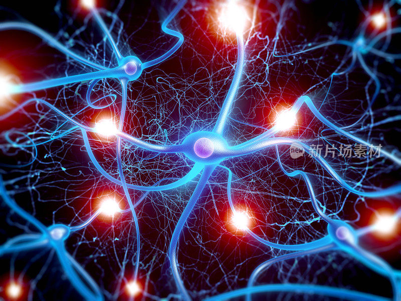 神经元细胞