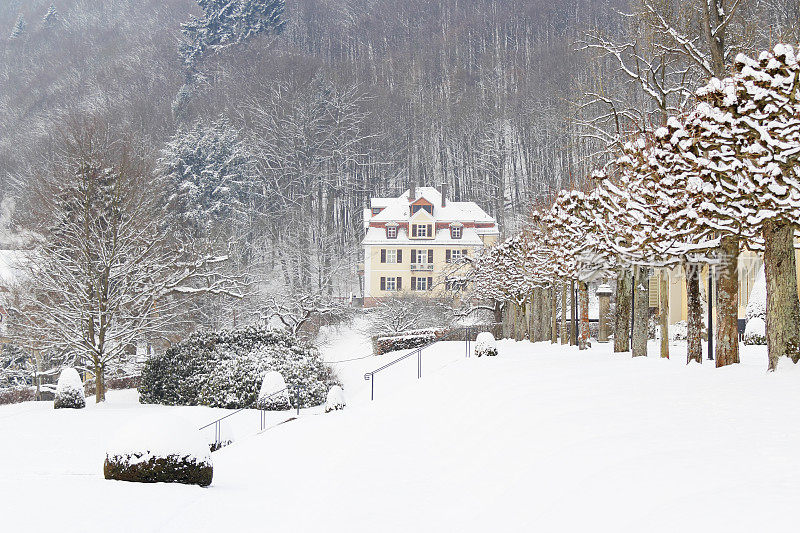 冬季公园步道和森林别墅在第一雪德国