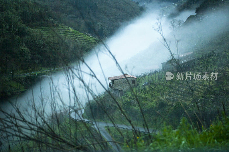 里贝拉萨克拉陡峭的梯田葡萄园，河面Miño被雾气覆盖。