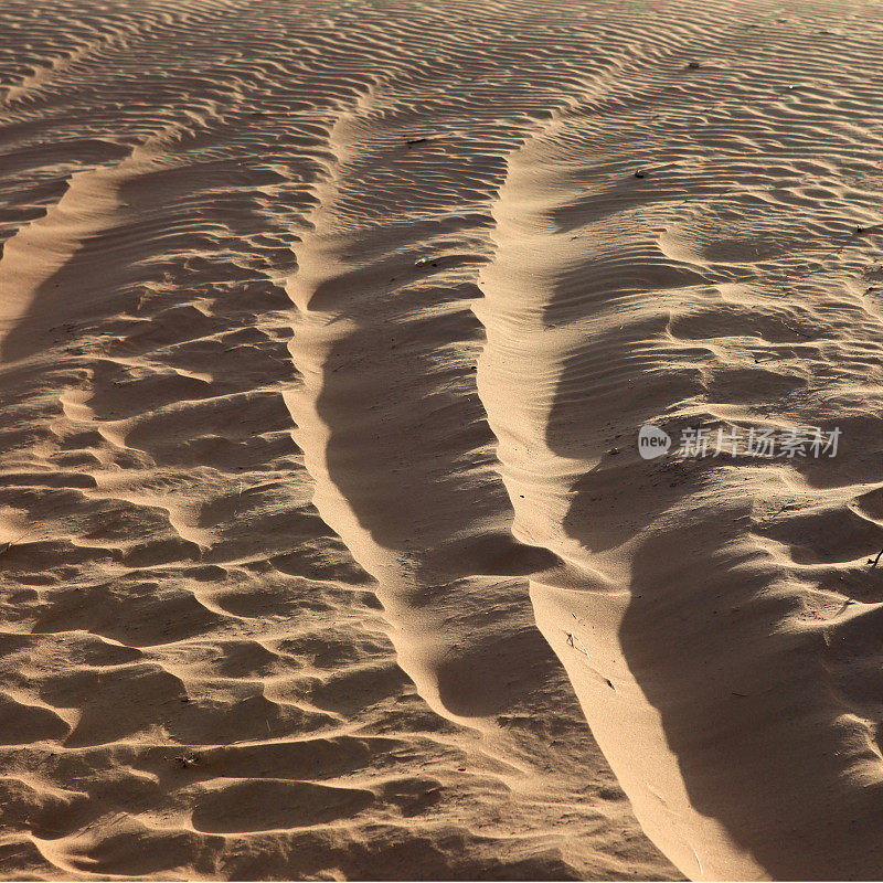 撒哈拉沙漠的沙子。系列