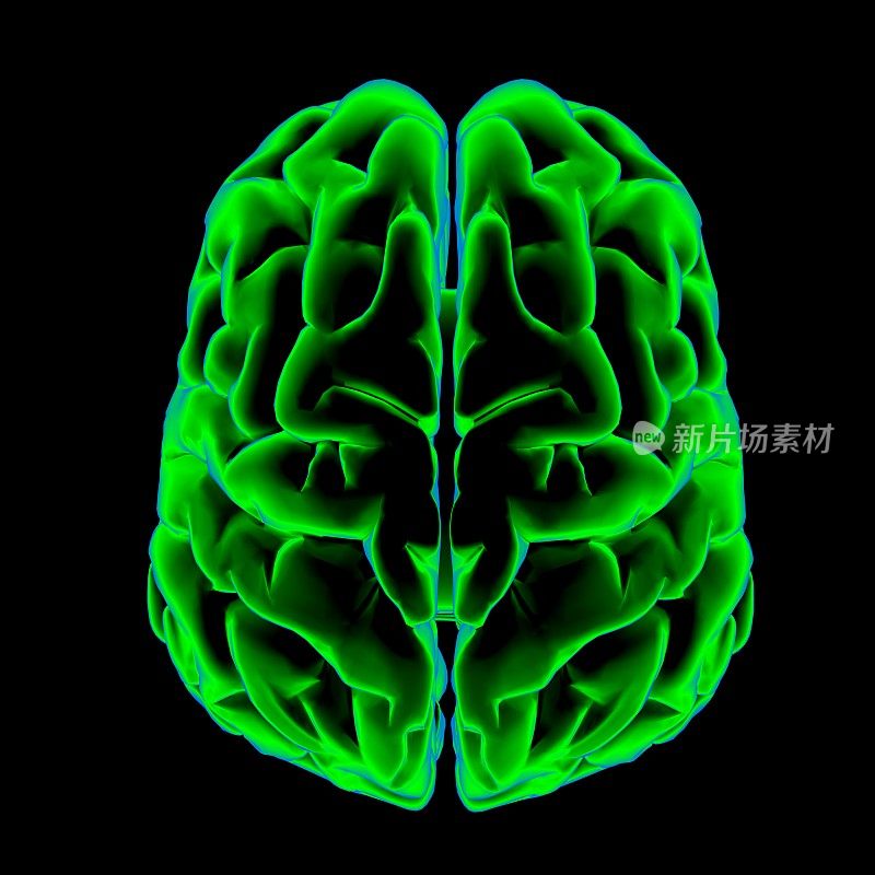 人脑扫描