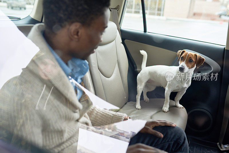 宠物主人和他的狗在车里