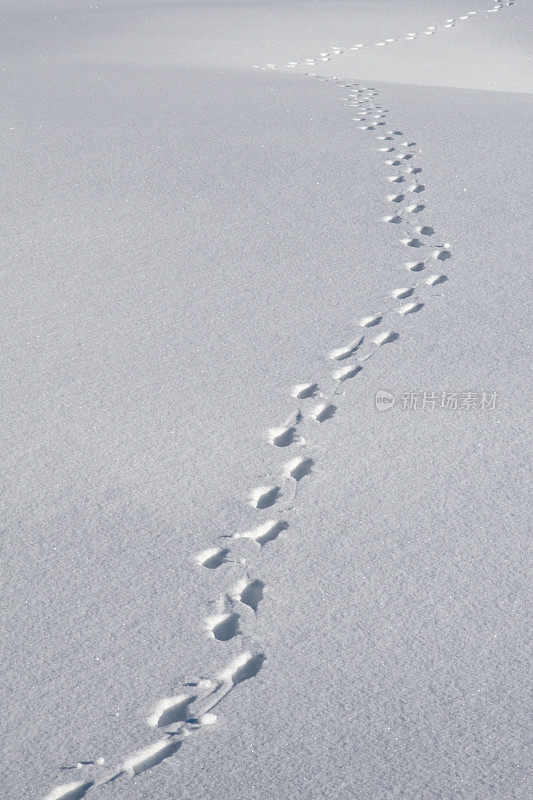 步骤在雪