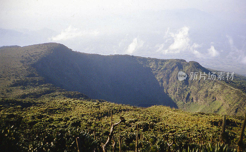 卢旺达维龙加山脉Karisimbi火山火山口