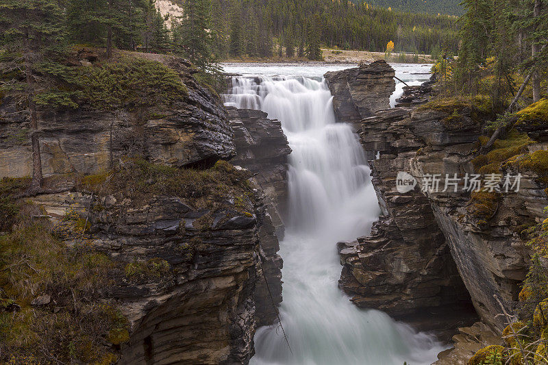 加拿大的阿萨巴斯卡瀑布