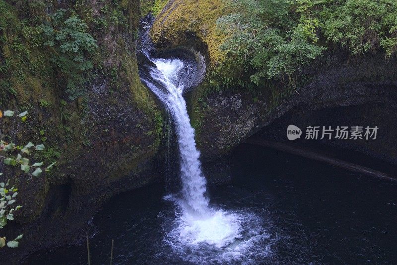 酒碗落放大