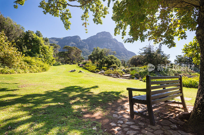 位于南非开普敦的Kirstenbosch植物园