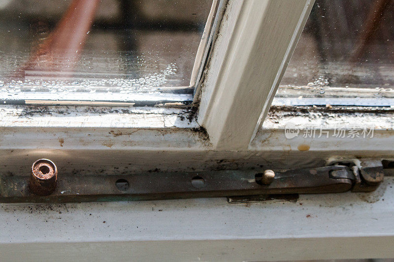 湿窗户上有霉菌