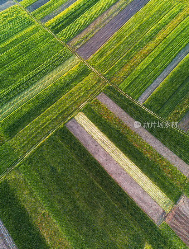 从空中看田野。夏季农业成分