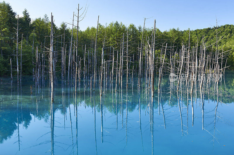 北北海道的蓝色池塘在夏天